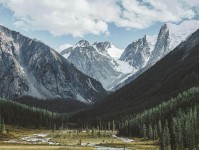 风车动漫看懂关键：先改成概率句，再对照单位标清吗（不费劲但管用）