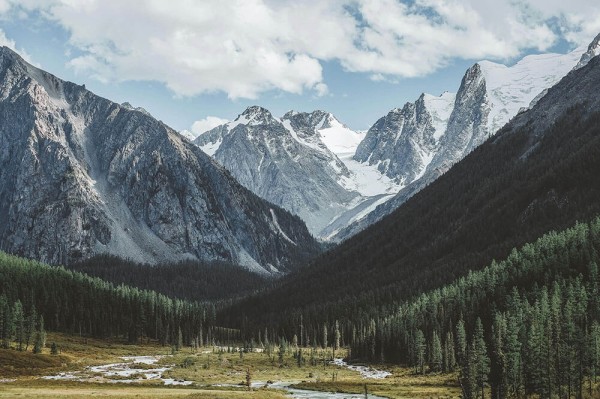 星辰影视读前先打问号：先看转发语是不是加码，再补齐条件清单（写作也能用）