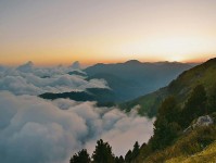 黑料网像校准：先校热度是不是放大偏差，再把因果词换中性（写作也能用）