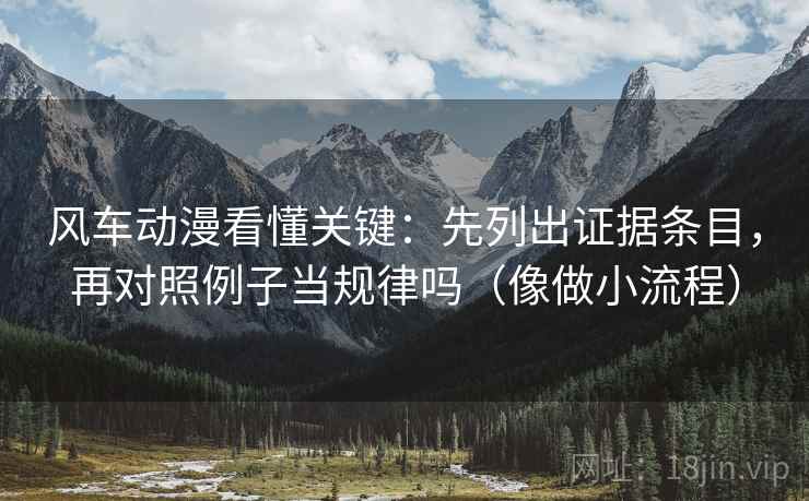 风车动漫看懂关键：先列出证据条目，再对照例子当规律吗（像做小流程）